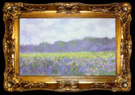 framed  Claude Monet Field of Yellow Iris at Giverny, ta009-2